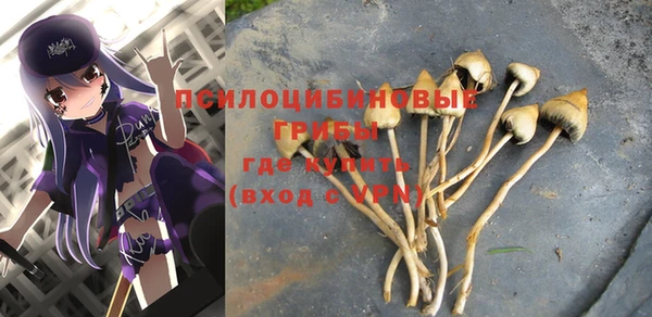 ПСИЛОЦИБИНОВЫЕ ГРИБЫ Ладушкин