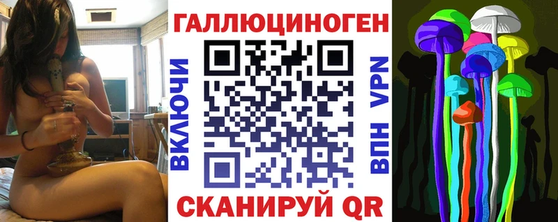 Купить  Чегем  Псилоцибиновые грибы MAGIC MUSHROOMS 